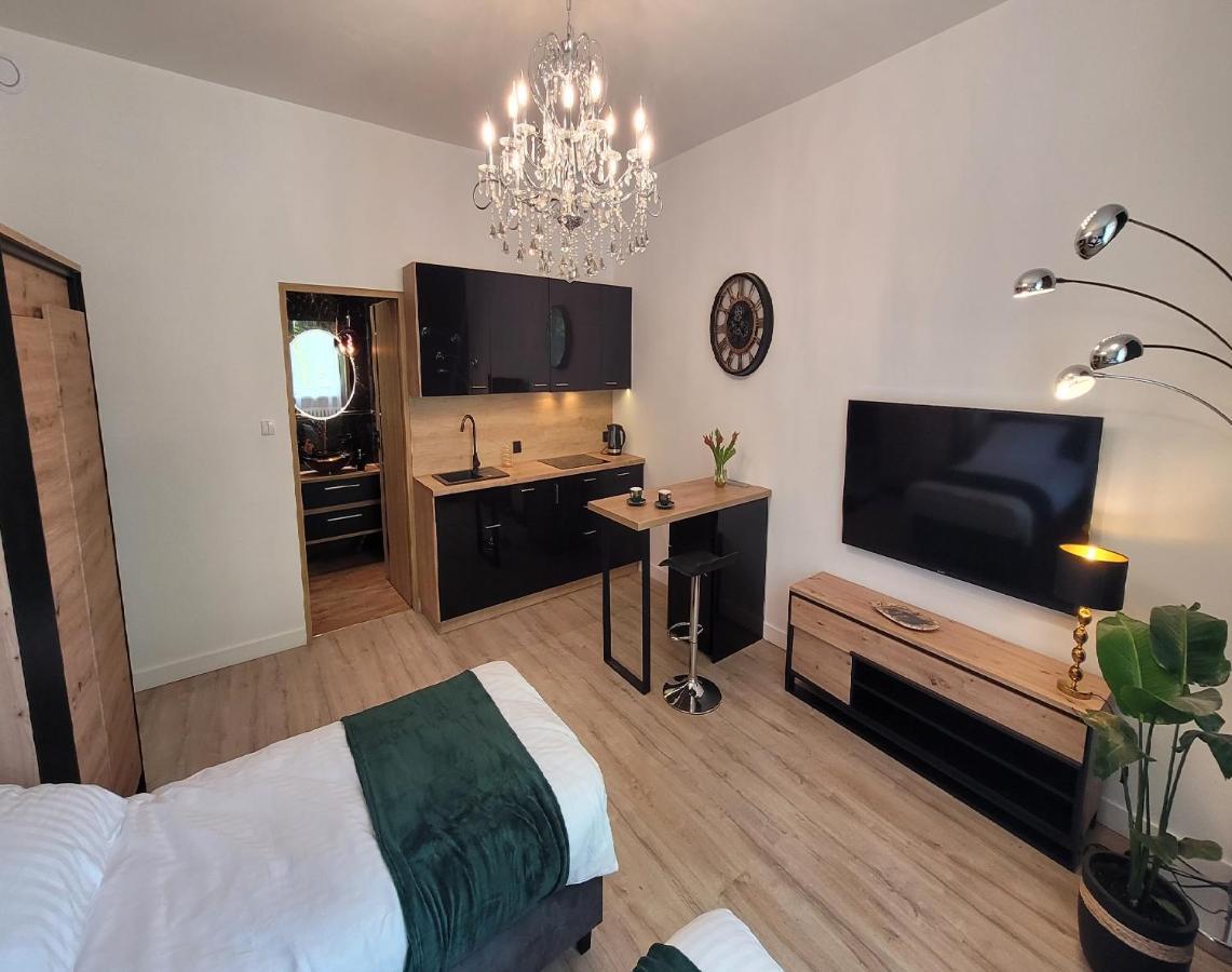 Good Day Apartment Centrum Katowice Esterno foto