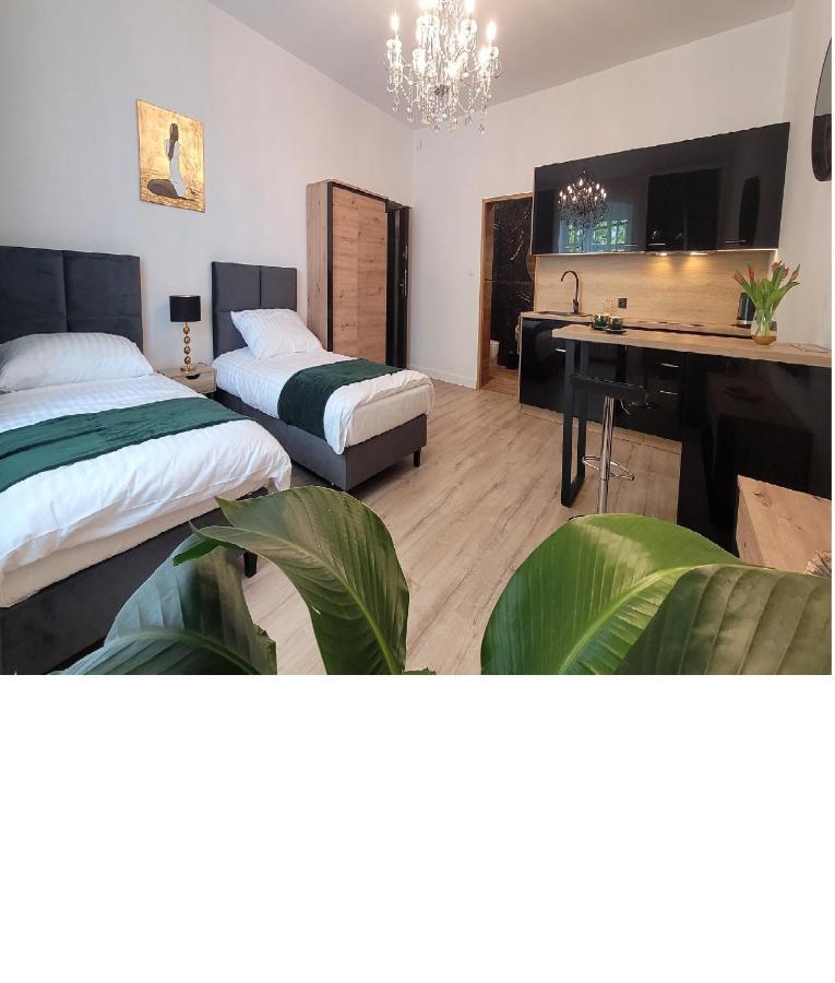 Good Day Apartment Centrum Katowice Esterno foto