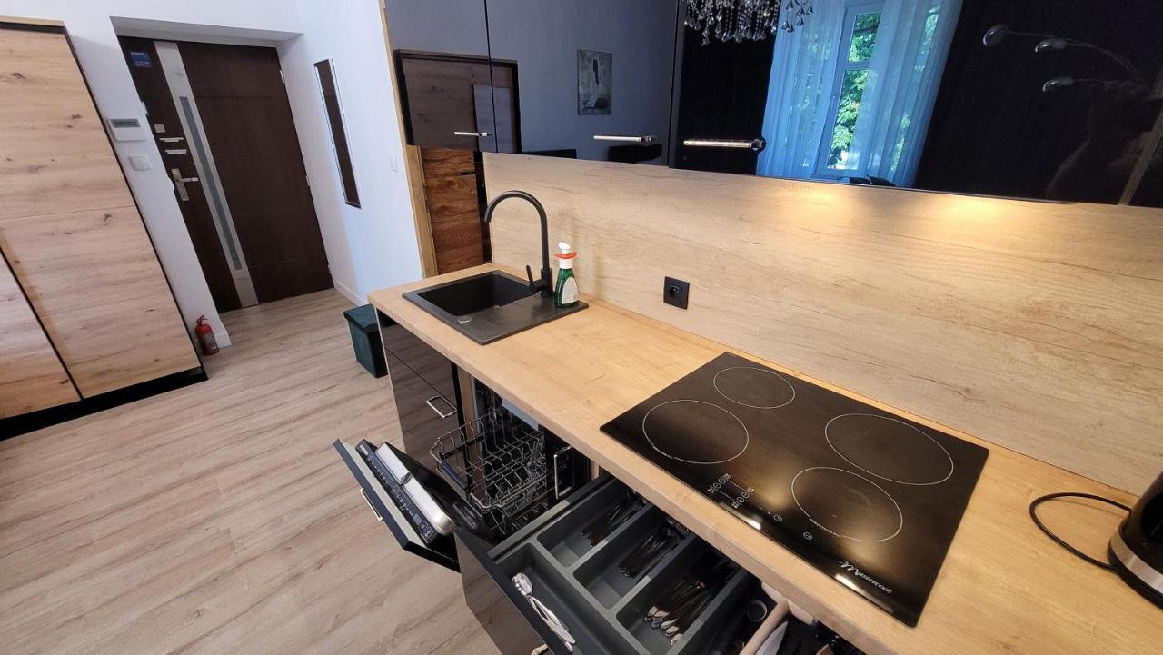 Good Day Apartment Centrum Katowice Esterno foto